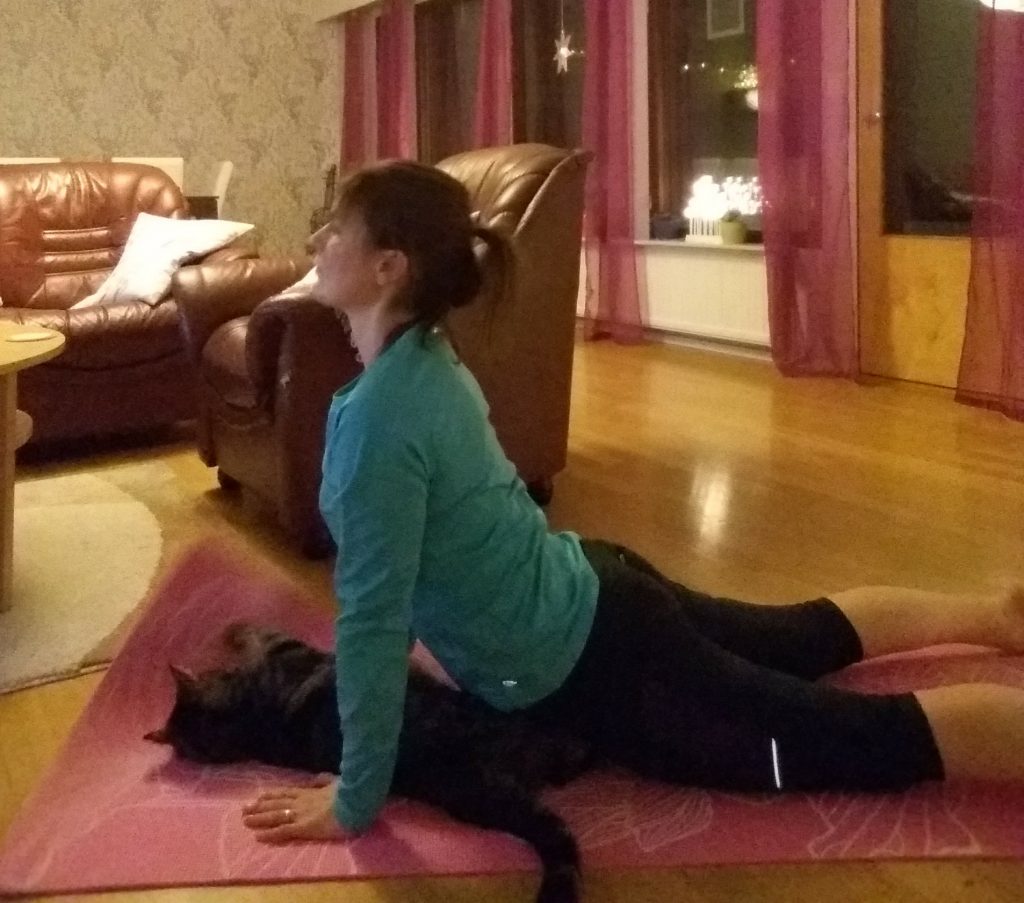 utvärdering av yogan