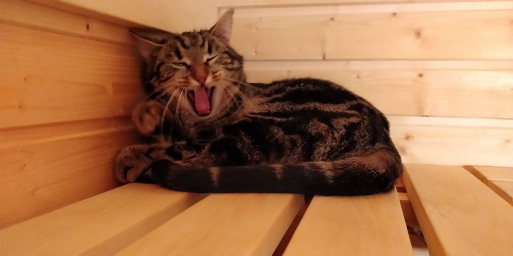 Manda morrar åt Garmin