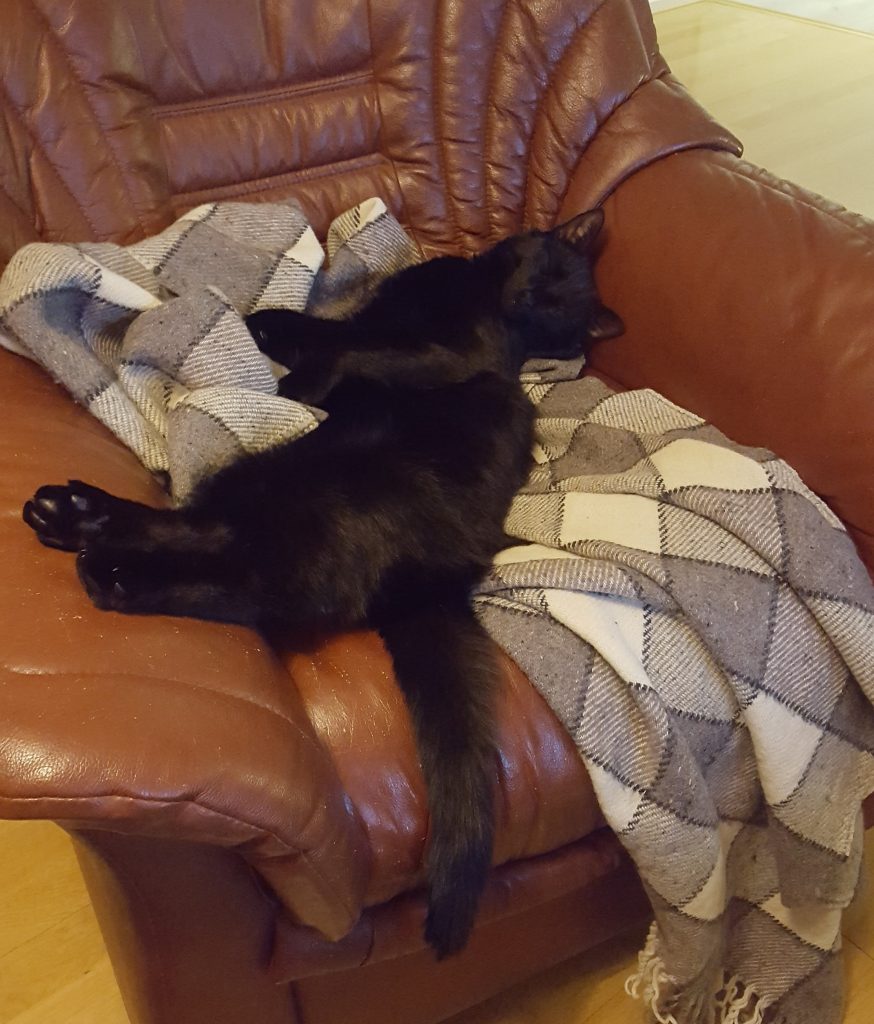 en som också är trött